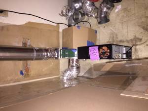 laser_blower_adjacent_room.jpg laser_blower_adjacent_room.jpg